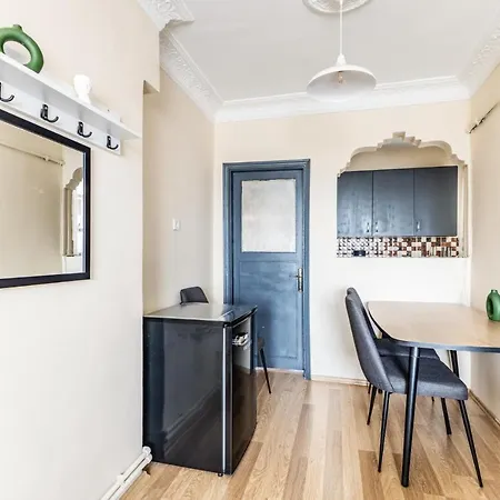 Fully Furnished And Spacious Flat In Kadikoy شقة اسطنبول