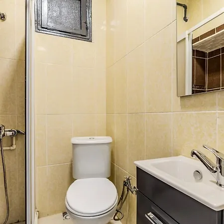 Fully Furnished And Spacious Flat In Kadikoy